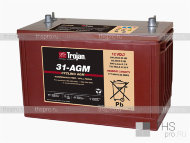 Аккумулятор TROJAN 31-AGM 12V (5/82Ah; 20/100Ah; 100/111Ah) (329х174х237) (BCI 31)